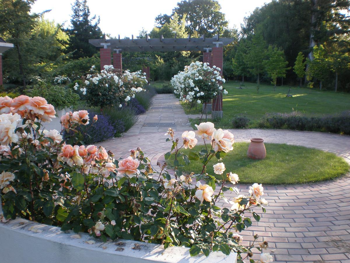 Shamrock Garden B&B Airport Christchurch Buitenkant foto