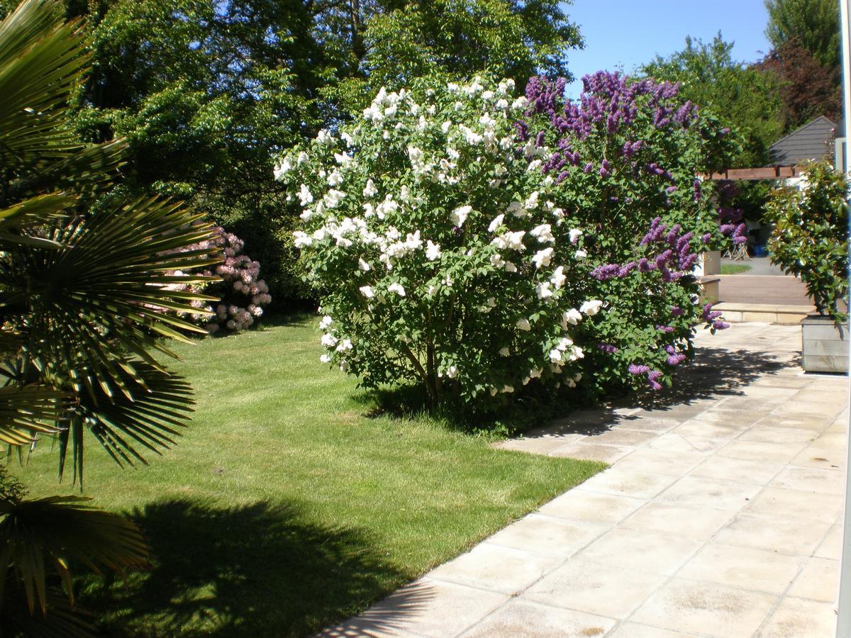 Shamrock Garden B&B Airport Christchurch Buitenkant foto