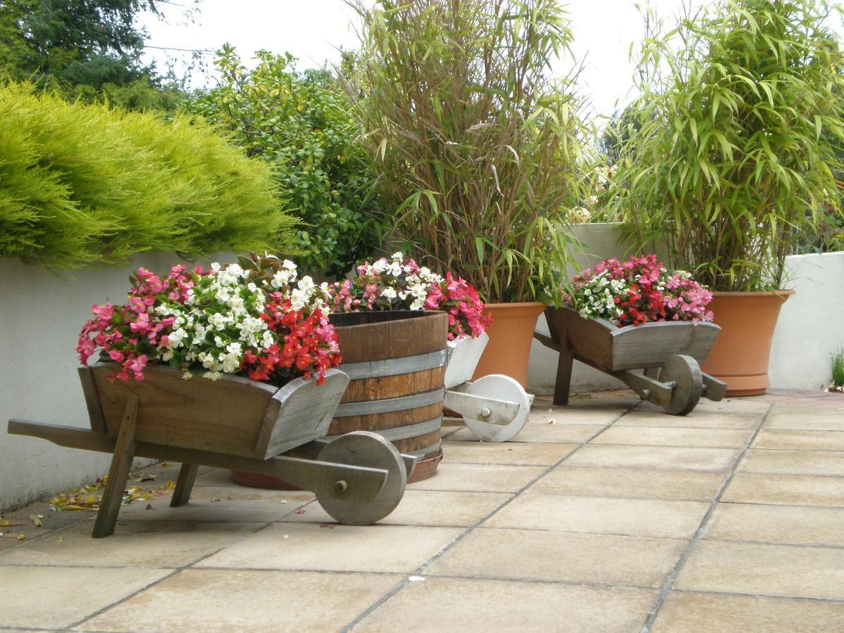 Shamrock Garden B&B Airport Christchurch Buitenkant foto