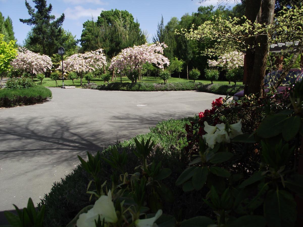 Shamrock Garden B&B Airport Christchurch Buitenkant foto
