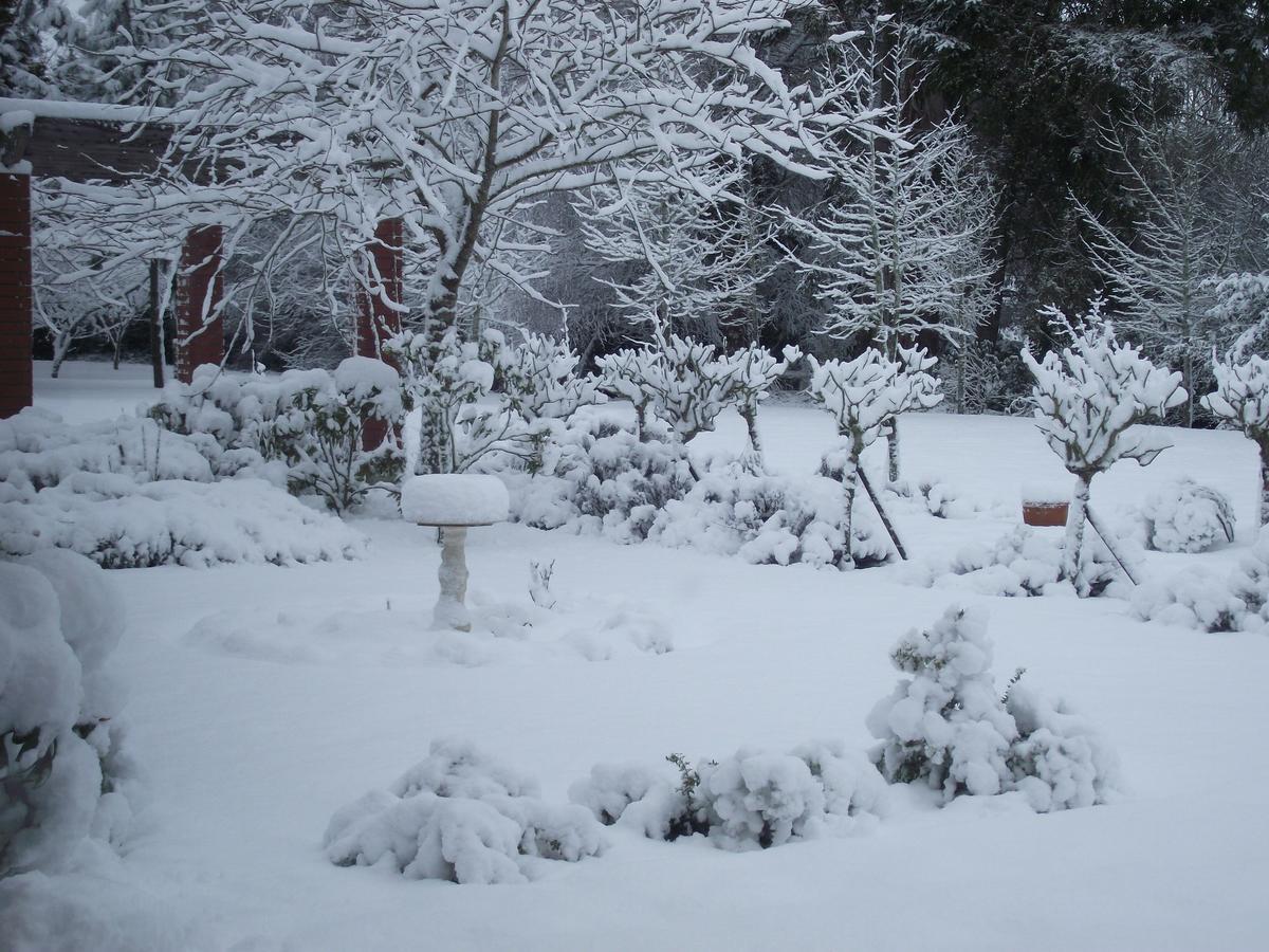 Shamrock Garden B&B Airport Christchurch Buitenkant foto