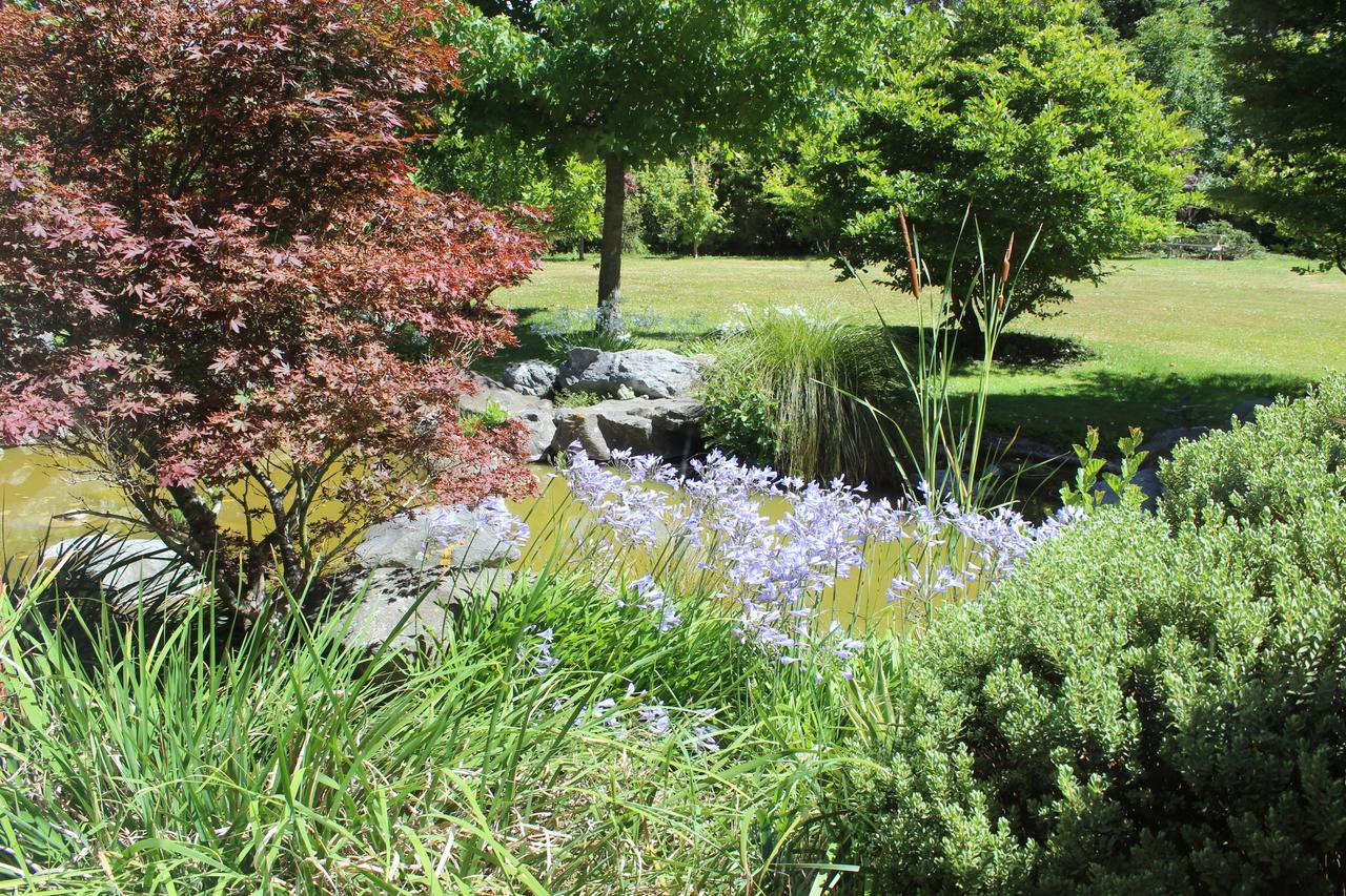 Shamrock Garden B&B Airport Christchurch Buitenkant foto