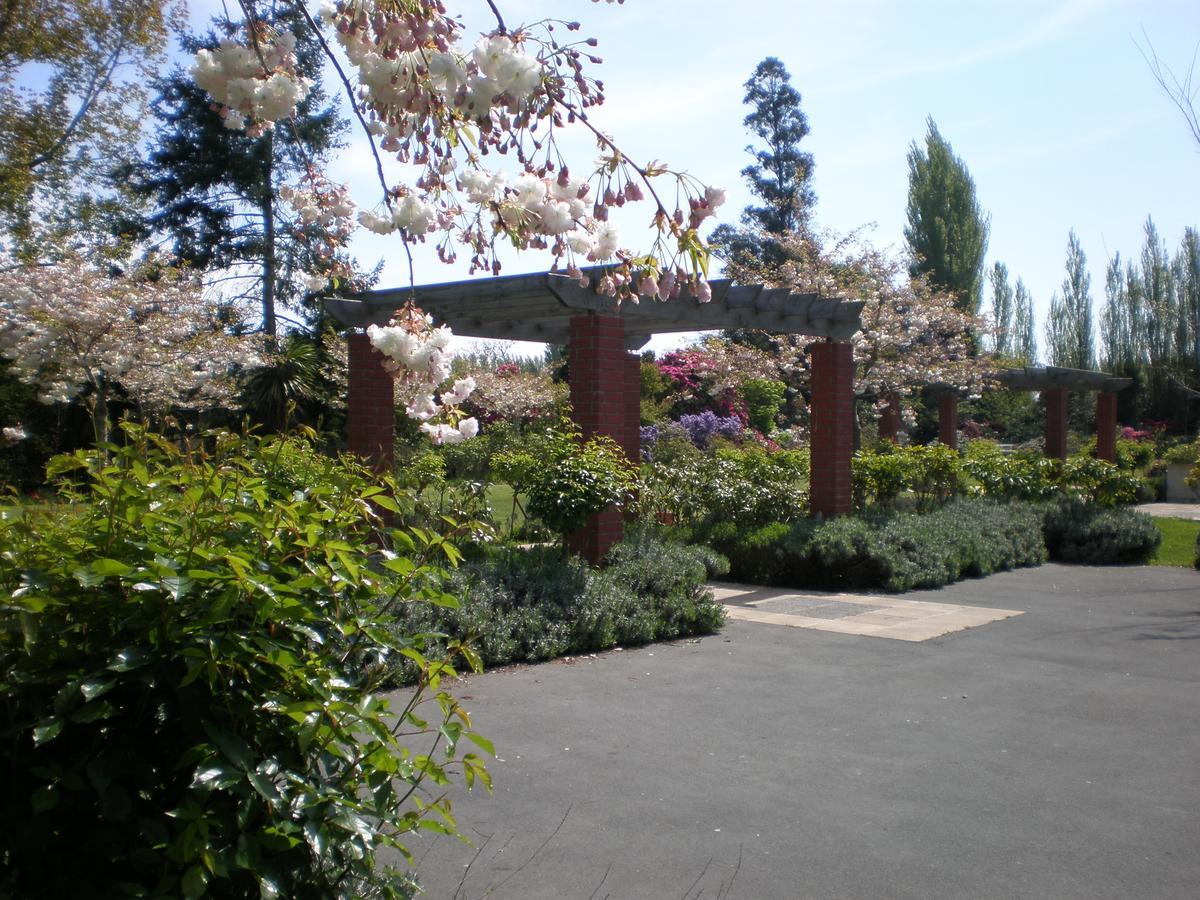 Shamrock Garden B&B Airport Christchurch Buitenkant foto