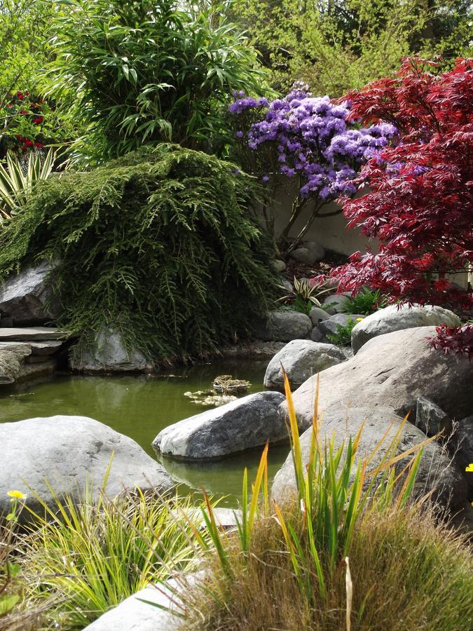 Shamrock Garden B&B Airport Christchurch Buitenkant foto