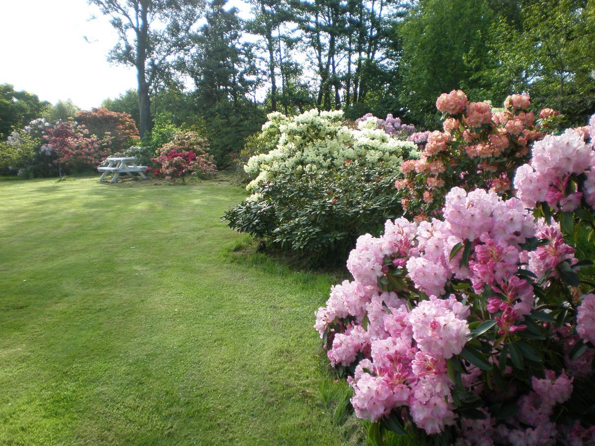 Shamrock Garden B&B Airport Christchurch Buitenkant foto