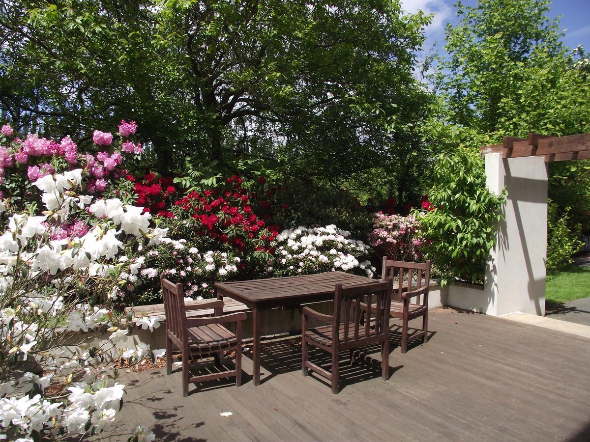 Shamrock Garden B&B Airport Christchurch Buitenkant foto